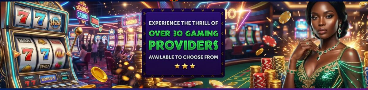 Experience the thrill of over 30 gaming providers available to choose from
